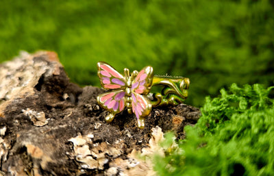 Titania, Queen of the Fairies Collection: The Rings