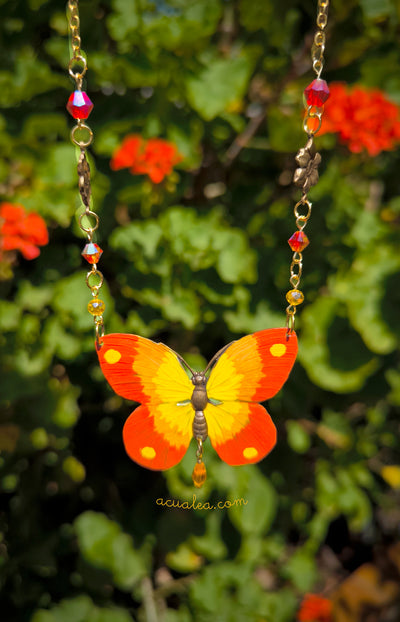 Collar Aurora